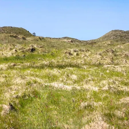 957-thisted-hvidbakken-33-lille-hus Torsted (Nordjylland)